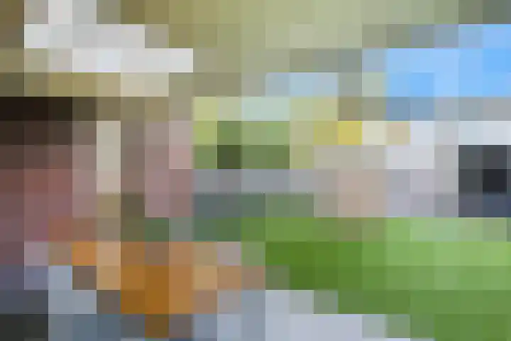 Gagelveld 10 Reusel thumbnail 61