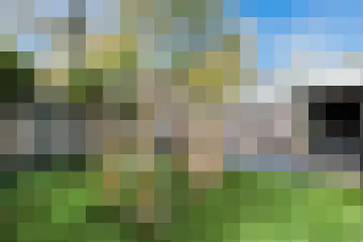 Gagelveld 10 Reusel thumbnail 62