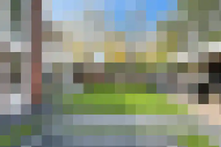 Gagelveld 10 Reusel thumbnail 66