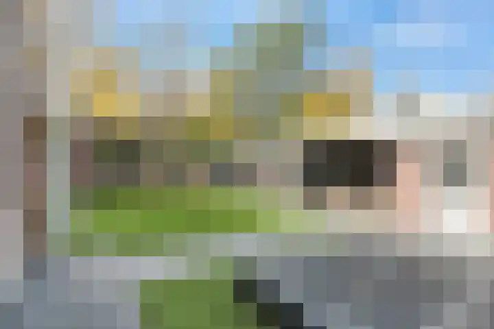 Gagelveld 10 Reusel thumbnail 67