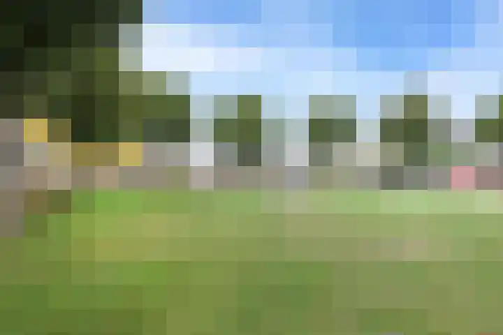 Gagelveld 10 Reusel thumbnail 70