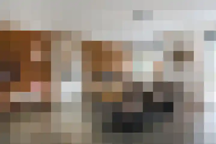 Gagelveld 10 Reusel thumbnail 8