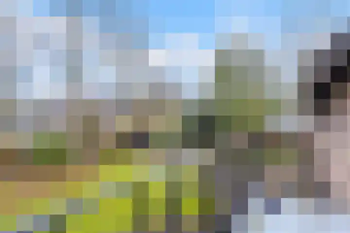 Gagelveld 19 Milsbeek thumbnail 30