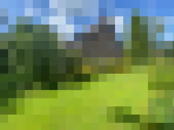 Gagelveld 19 Milsbeek thumbnail 55
