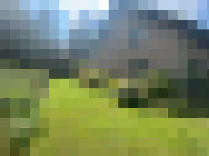 Gagelveld 19 Milsbeek thumbnail 56