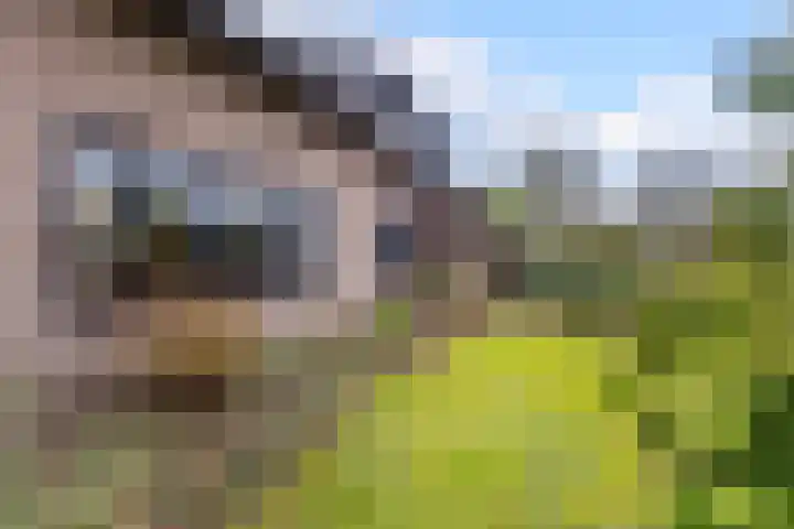 Gagelveld 19 Milsbeek thumbnail 61