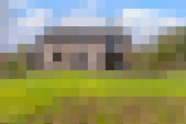 Gagelveld 19 Milsbeek thumbnail 62