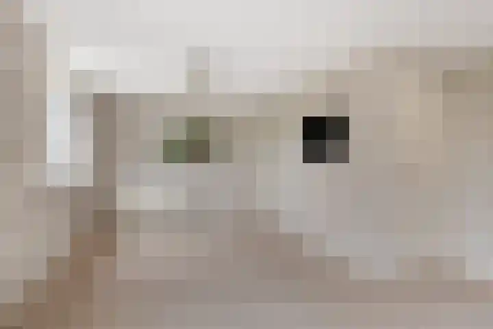 Gagelweg 2 Halsteren thumbnail 17
