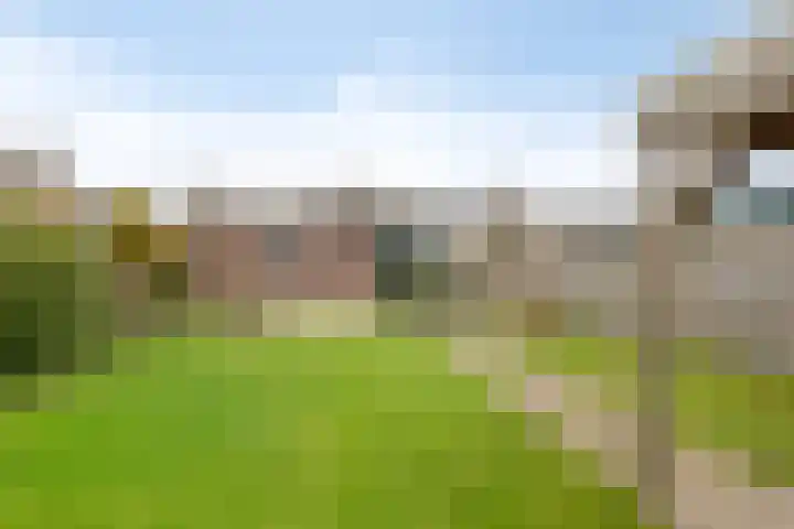 Gagelweg 2 Halsteren thumbnail 25
