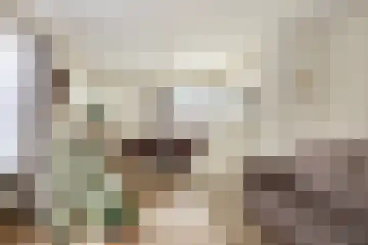 Gagelweg 2 Halsteren thumbnail 9