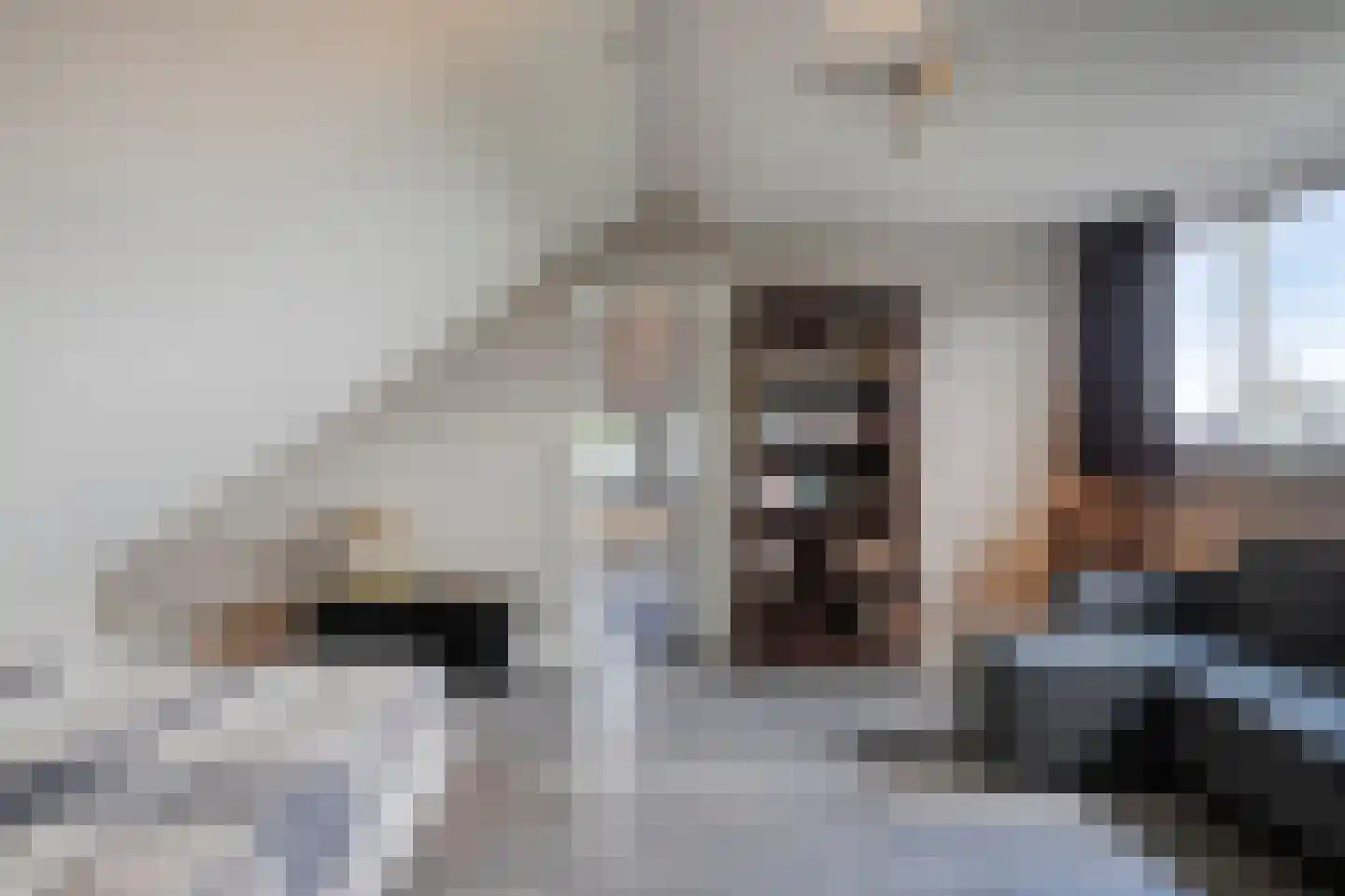 Gagelweg 2 Steenbergen thumbnail 48