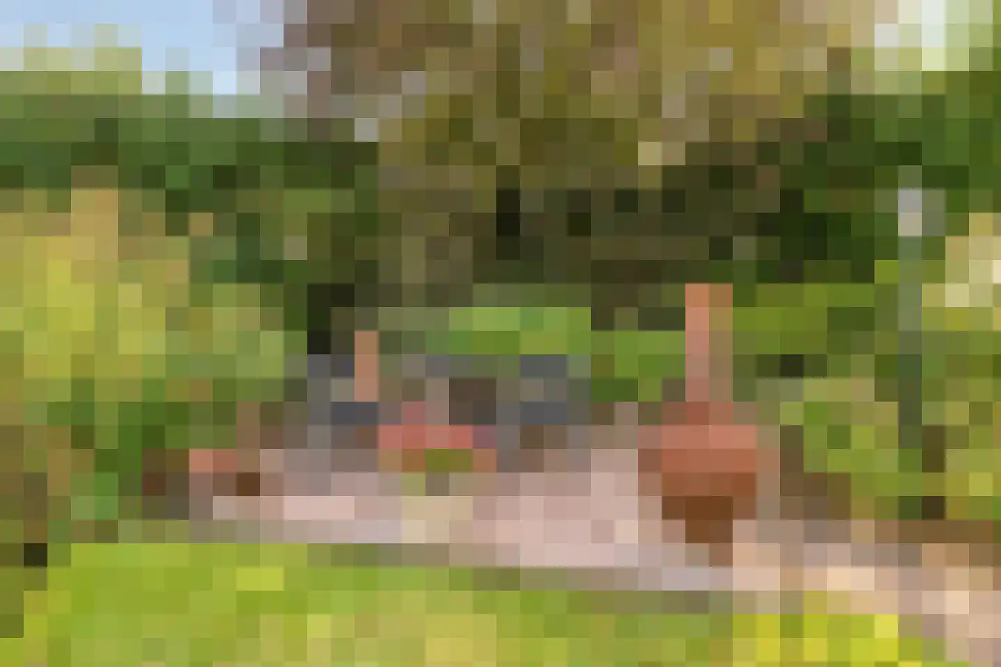 Gagelweg 2 Steenbergen thumbnail 62