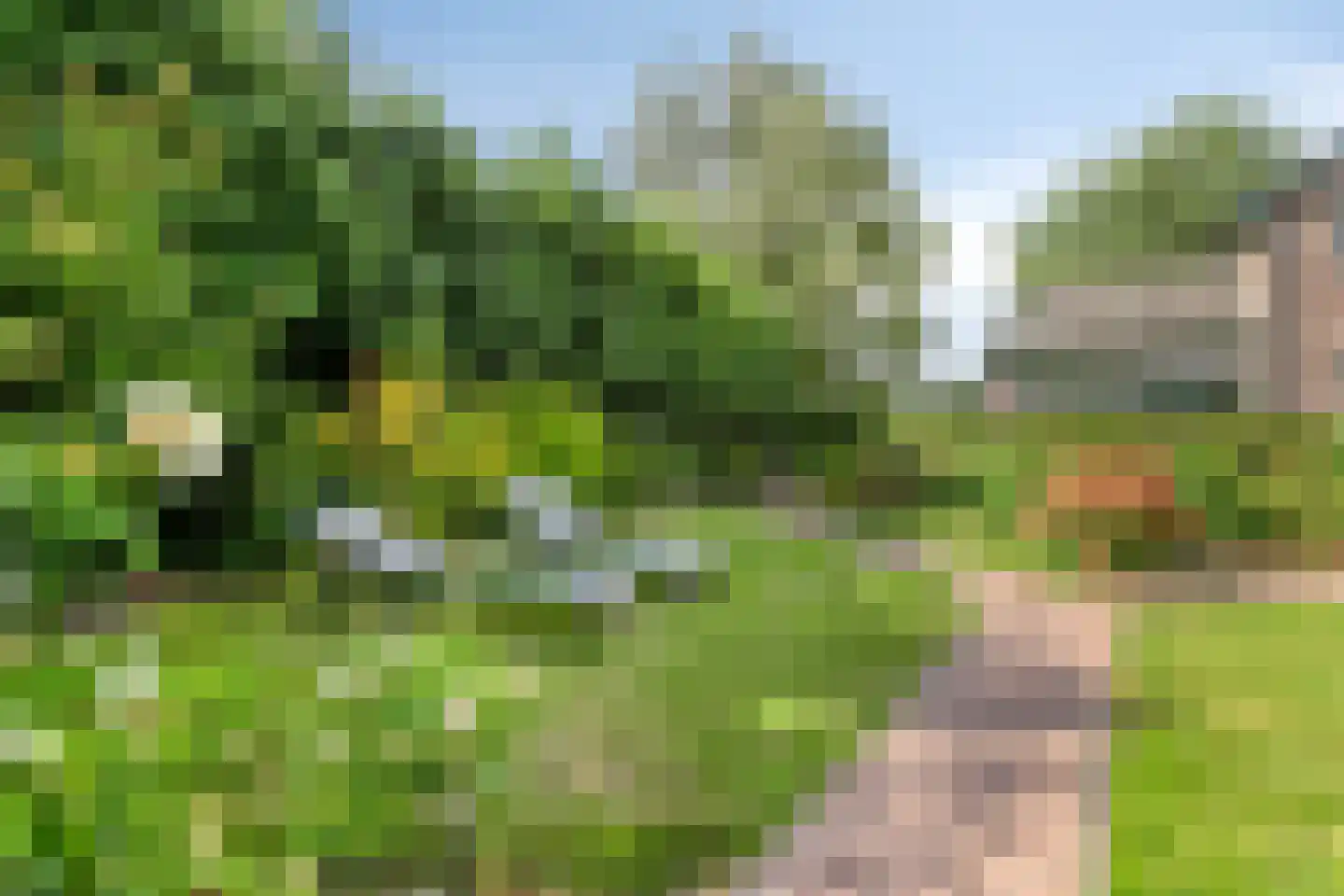 Gagelweg 2 Steenbergen thumbnail 68