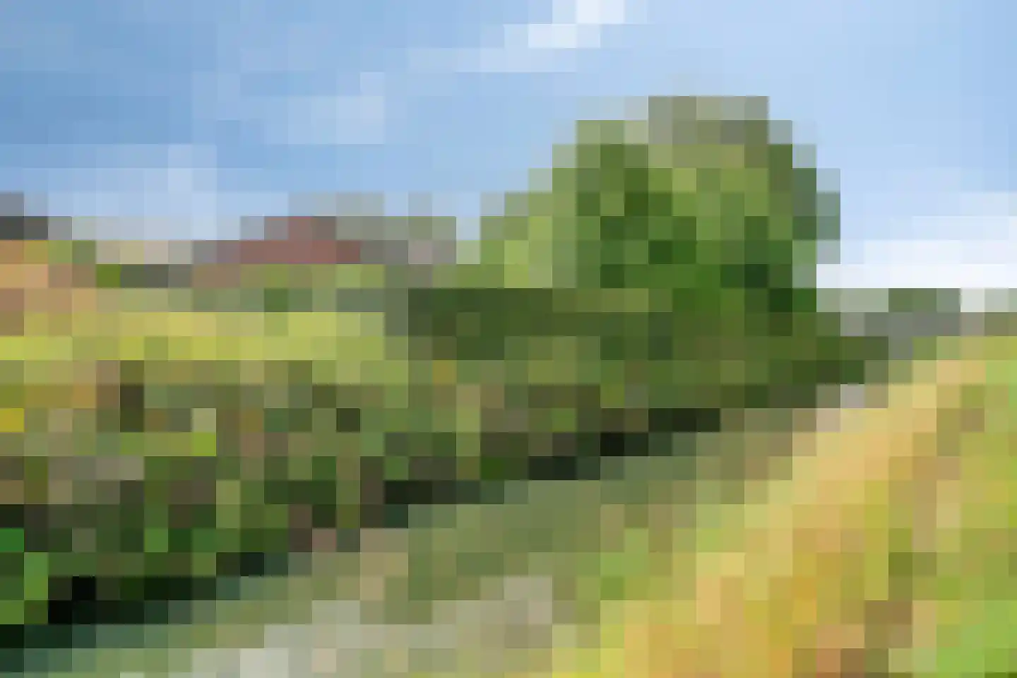 Gagelweg 2 Steenbergen thumbnail 83