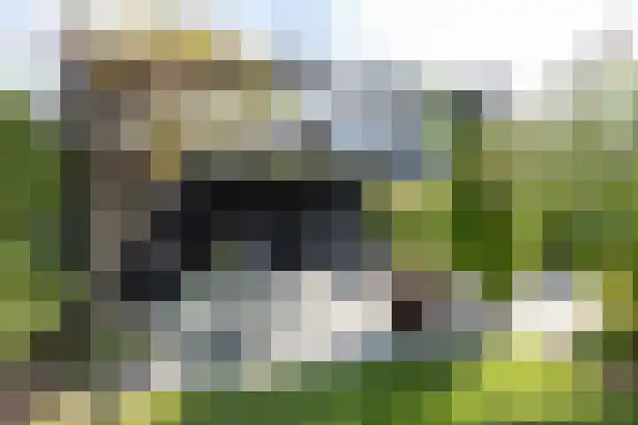 Gaickingalaan 11 Zuidhorn thumbnail 14