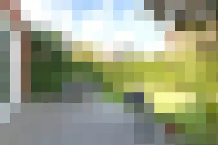 Gaickingalaan 11 Zuidhorn thumbnail 16