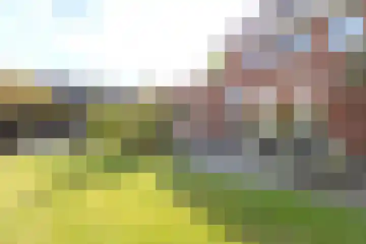 Gaickingalaan 11 Zuidhorn thumbnail 17
