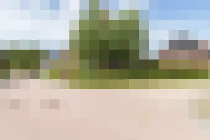 Gaickingalaan 11 Zuidhorn thumbnail 33
