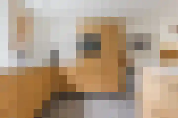 Galadriel 13 Geldrop thumbnail 17