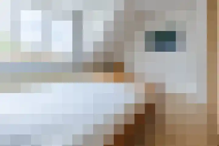 Galadriel 13 Geldrop thumbnail 44