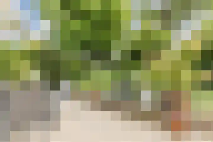Galadriel 13 Geldrop thumbnail 48