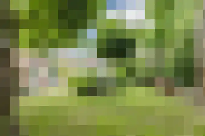 Galadriel 13 Geldrop thumbnail 53