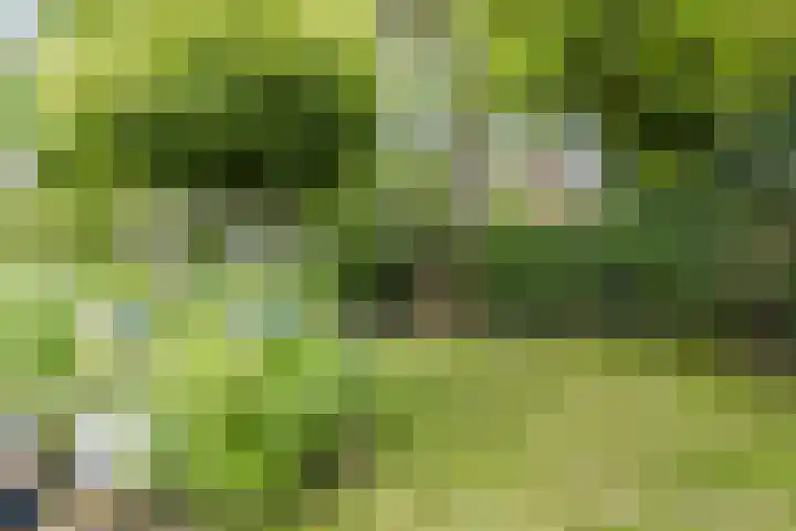 Galadriel 13 Geldrop thumbnail 54