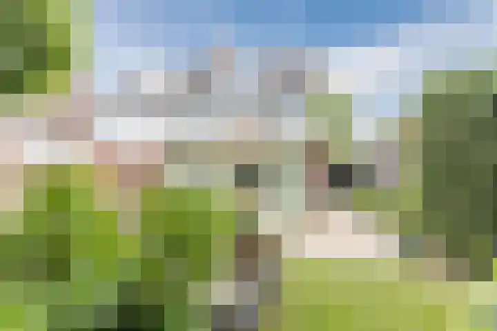 Galadriel 13 Geldrop thumbnail 55