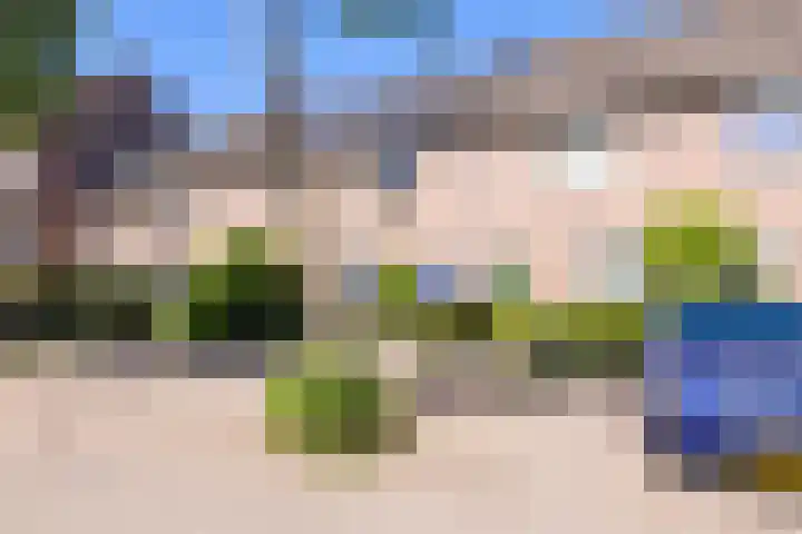 Galápagos 7 Utrecht thumbnail 4