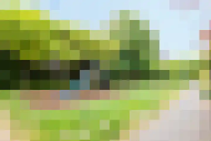 Galápagos 7 Utrecht thumbnail 41