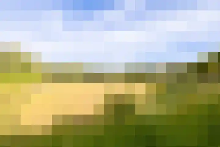 Galápagos 7 Utrecht thumbnail 42