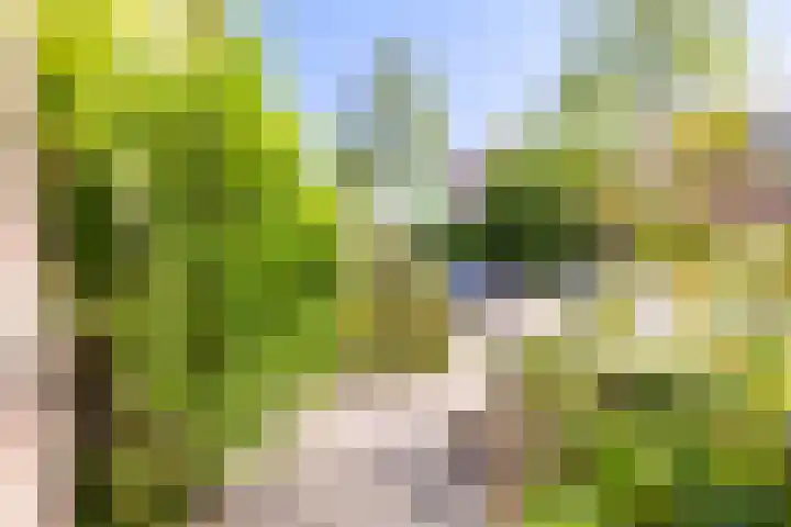 Galápagos 7 Utrecht thumbnail 5