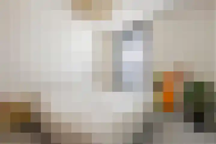 Galastraat 19 Amsterdam thumbnail 30