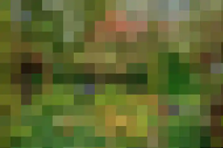 Galgenberg 2 Rhenen thumbnail 28