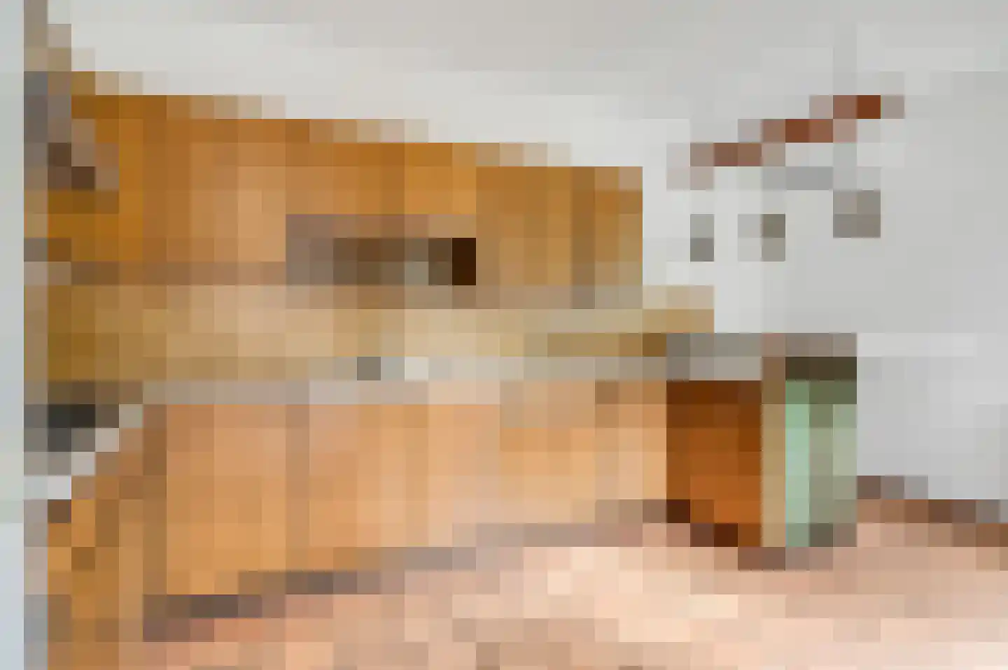 Galgenberg 6 Rhenen thumbnail 12