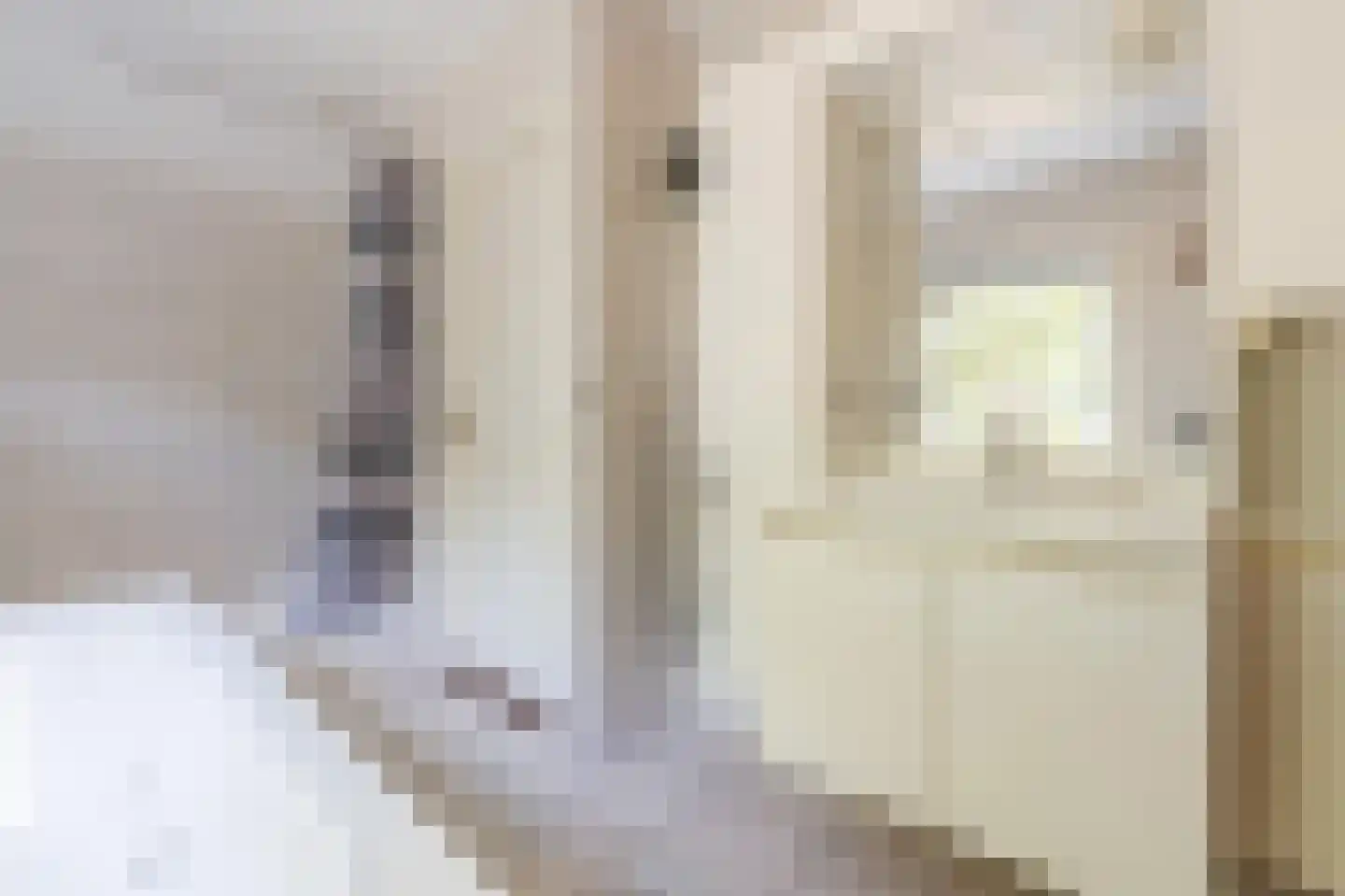 Galgenkamp 1 Ruinen thumbnail 46