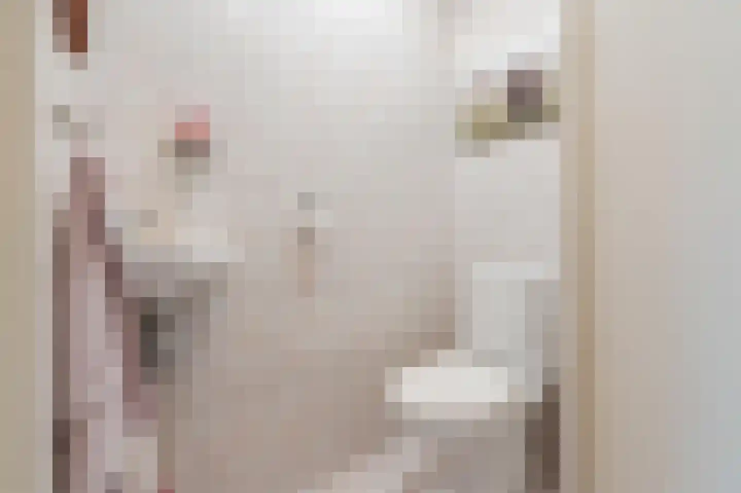 Galgenkamp 1 Ruinen thumbnail 47