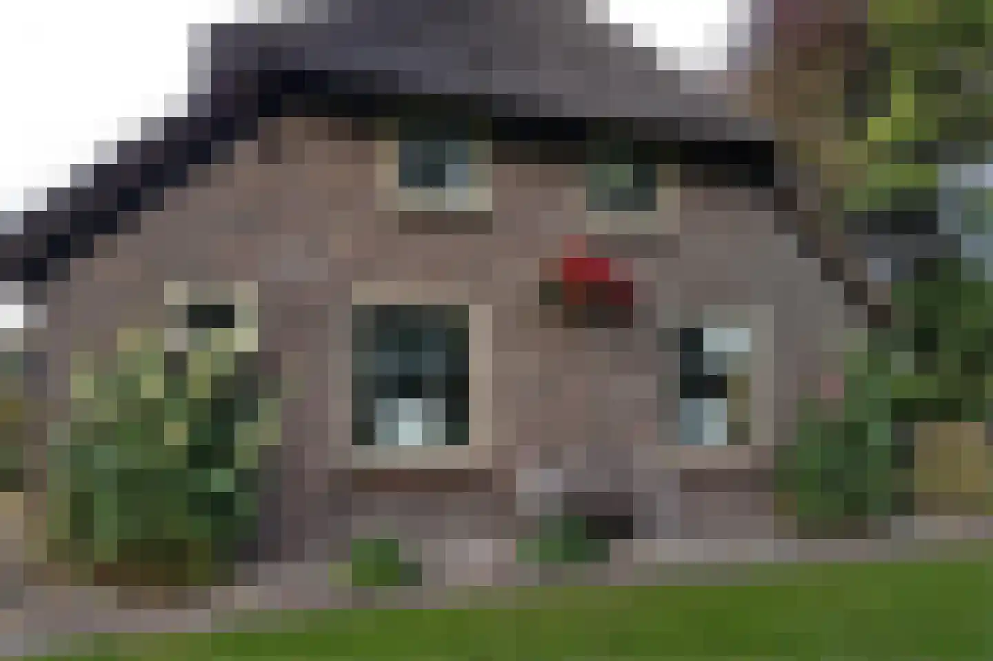 Galgenkamp 1 Ruinen thumbnail 7