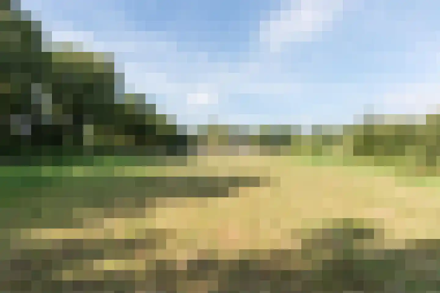 Galgenkamp 1 Ruinen thumbnail 86