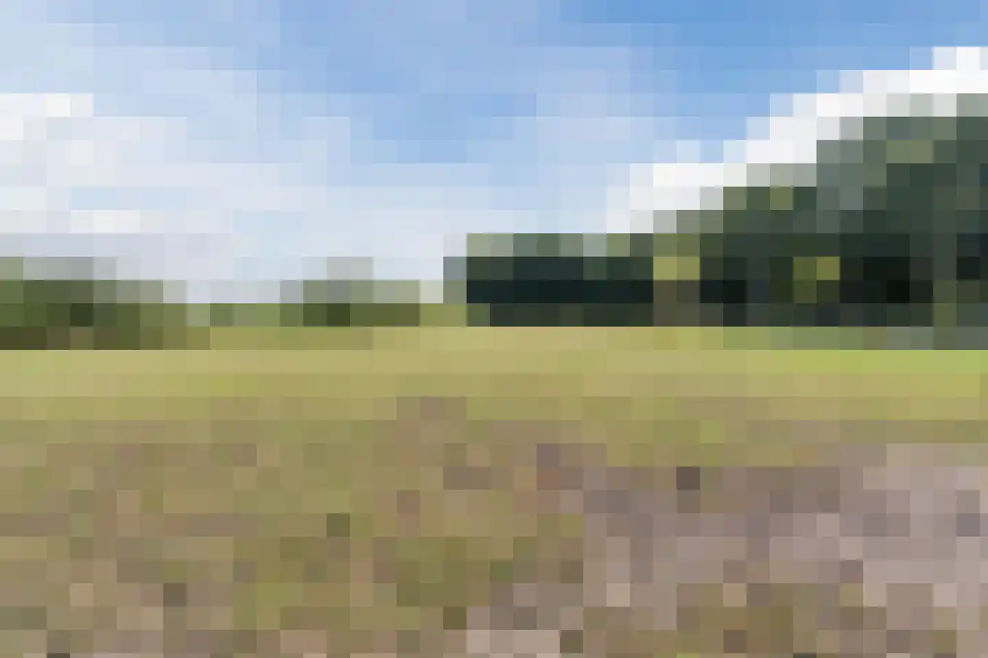 Galgenkamp 1 Ruinen thumbnail 87