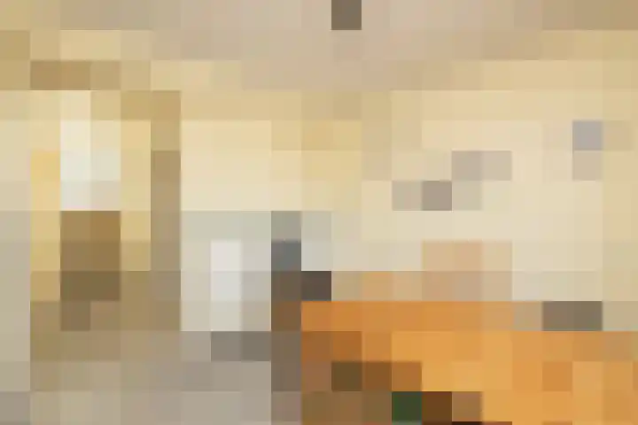 Galgewater 36 Leiden thumbnail 26