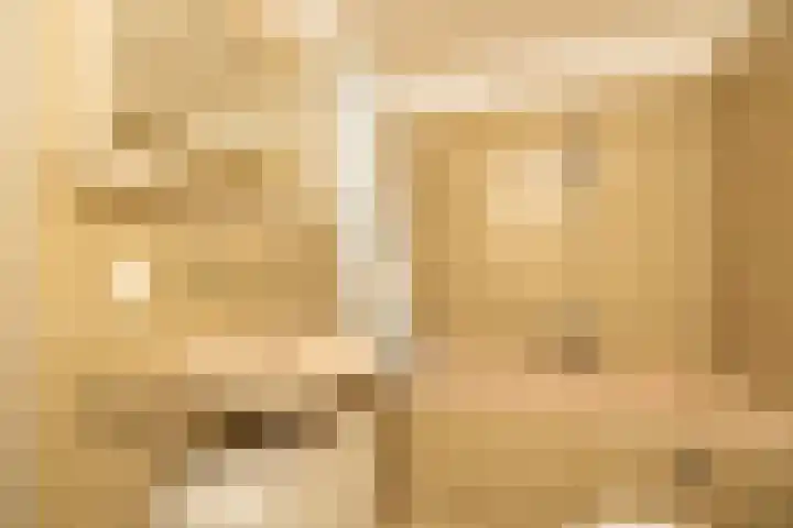 Galgewater 36 Leiden thumbnail 29