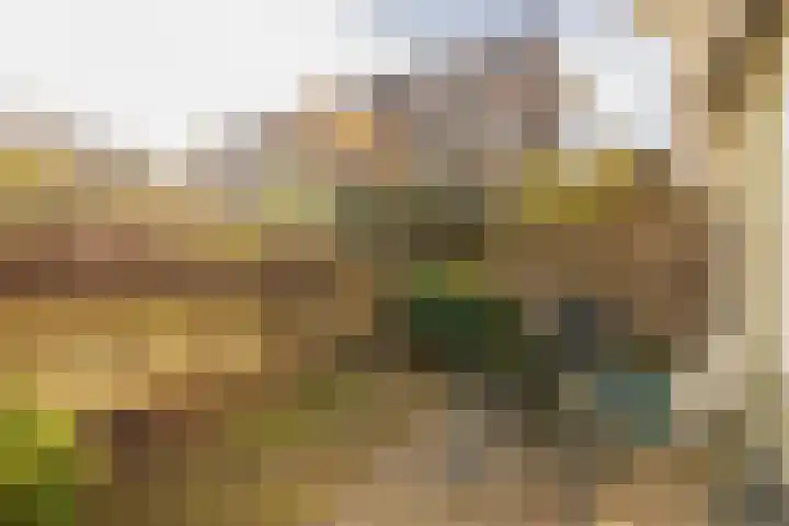 Galgewater 36 Leiden foto 3