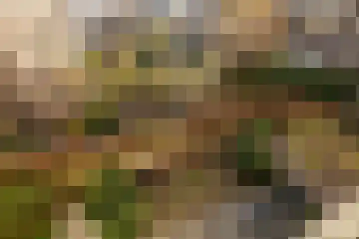 Galgewater 36 Leiden thumbnail 35