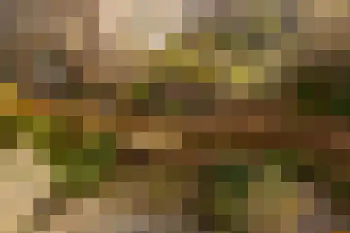 Galgewater 36 Leiden thumbnail 36