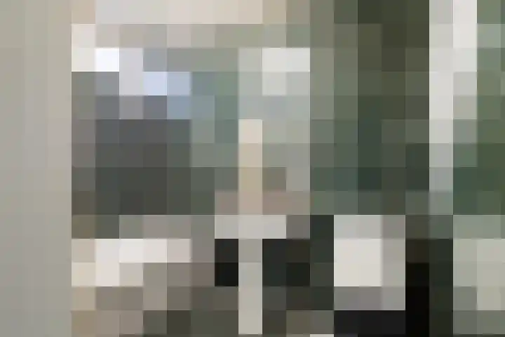 Galgeweg 72 Naaldwijk thumbnail 14