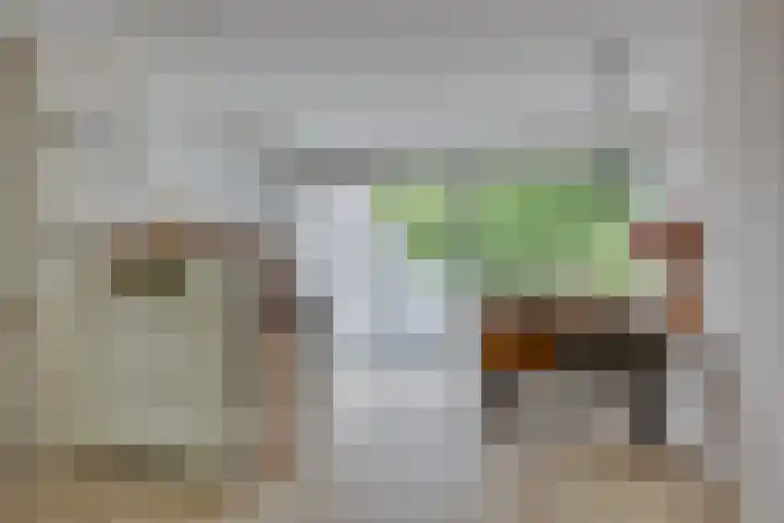 Galicië 22 Leusden thumbnail 14