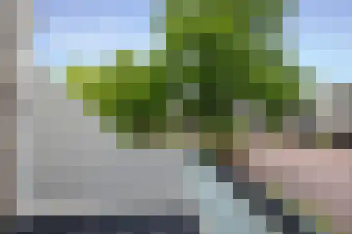 Galicië 22 Leusden thumbnail 18