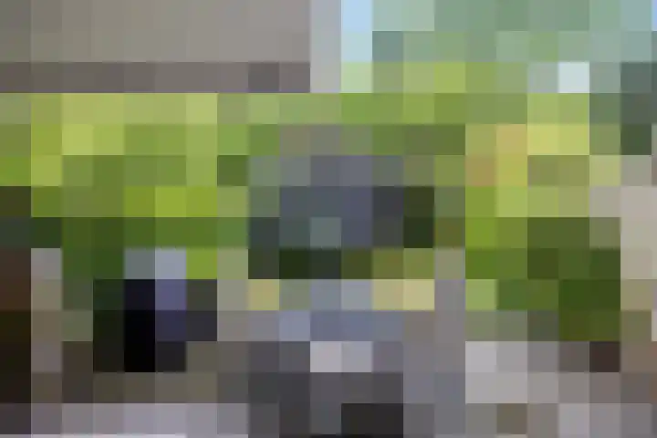 Galicië 22 Leusden thumbnail 33