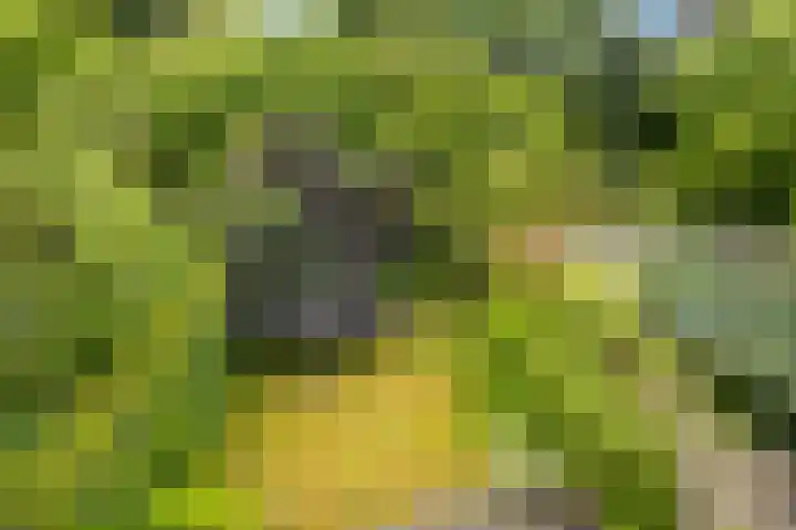 Galicië 22 Leusden thumbnail 35